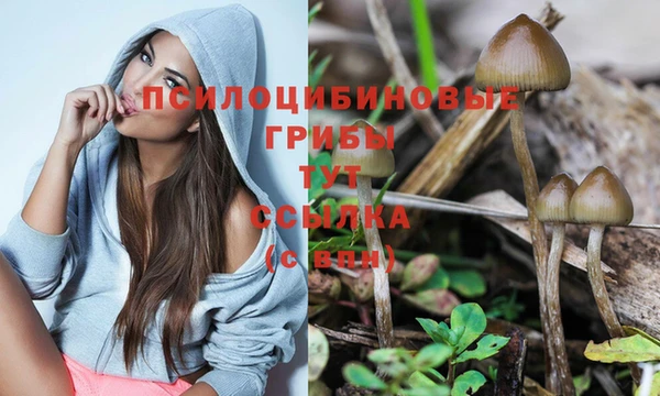 мефедрон мука Нефтекумск